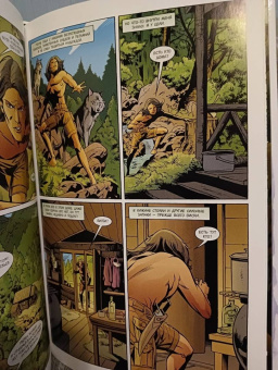 Билл Уиллингхэм: Сказки. Книга 6