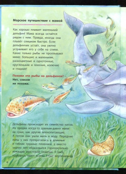 Фридерун Райхенштеттер: Дельфинчик и его морские соседи. Познавательные истории