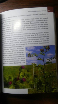 Александр Ефремов: Дикорастущие лекарственные растения средней полосы России:  карманный справочник
