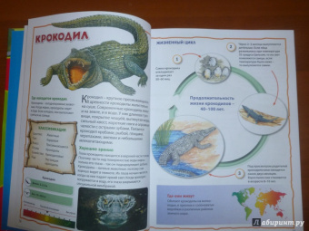 Моя первая книга о животных