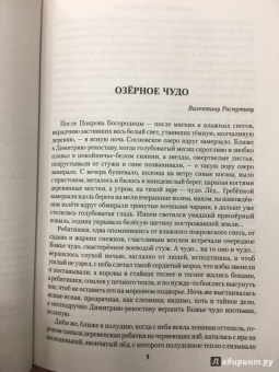 Анатолий Байбородин: Деревенский бунт