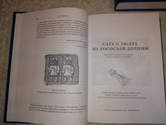 Саги Исландии. В 2-х книгах