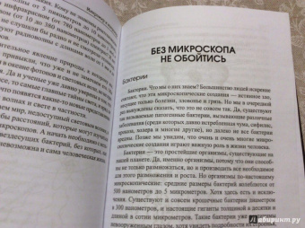 Антон Малютин: Микромир и макромир