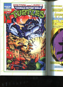 Кларрейн, Браун, Браммер: Черепашки-Ниндзя. Приключения. Том 8. Солнце полуночи