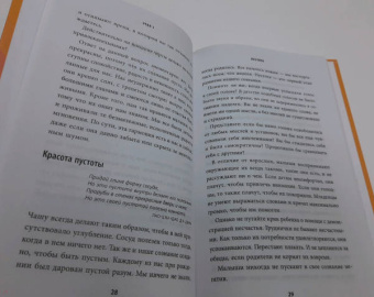 Йен Чжен: Очисти свой разум. Как обрести гармонию с собой и миром с помощью осознанности
