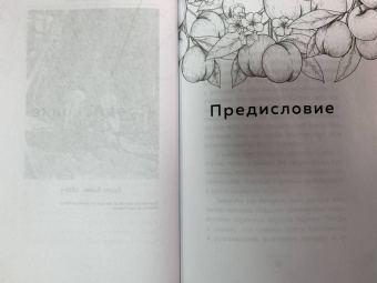 Зора Хёрстон: Барракун. История последнего раба, рассказанная им самим