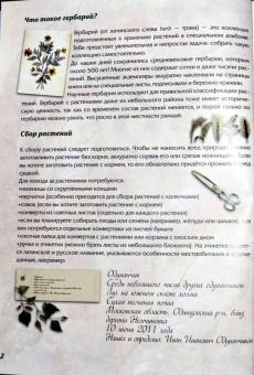 Маневич, Маневич: Иллюстрированный гербарий