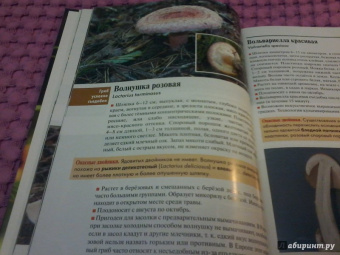 Федор Карпов: Грибы средней полосы России. Атлас-определитель