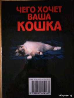 Мария Солодова: Чего хочет ваша кошка