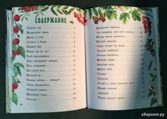 Николай Сладков: Лесные сказки