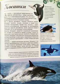 Вячеслав Ликсо: Большая книга о подводном мире. 1001 фотография