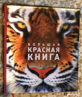 Скалдина, Слиж: Большая Красная книга (стерео-варио) 3D-обложка