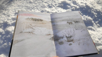 Лита Ли: Красный камень