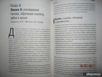 Станислав Дробышевский: Достающее звено. Книга первая. Обезьяны и все-все-все