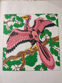 Линда Тейлор: Dino. Творческая раскраска удивительных динозавров