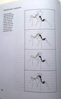 Уилсон, Хёлльдоблер: Путешествие к муравьям