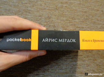 Айрис Мердок: Книга и Братство