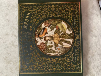 Секретная жизнь фей