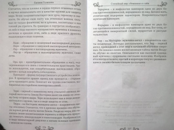 Евгения Телицына: Стихийный мир. Сбежавшая от тайн