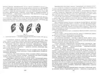 Стекольников, Щербаков, Яшин: Декоративное собаководство. Учебное пособие для вузов