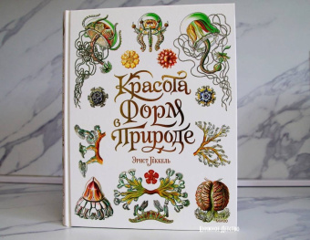 Эрнест Геккель: Красота форм в природе