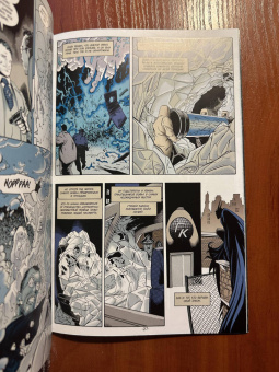 Пол Дини: Бэтмен. Мистер Фриз