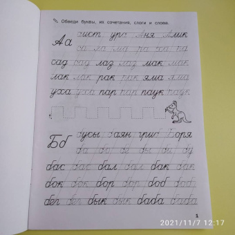 Светлана Чиркова: Прописи. Пишем слоги и слова. ФГОС ДО