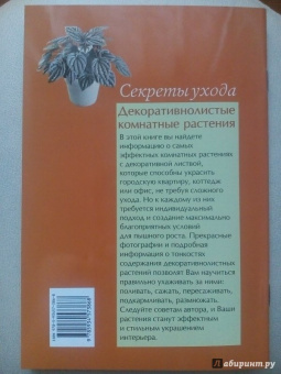 Валентин Воронцов: Секреты ухода. Декоративнолистные комнатные растений