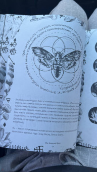 Лорен Алетта: The Seasonal Soul. Мистическое руководство по внутренней трансформации