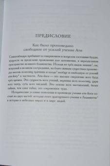 Великий образ. История жизни переводчика Вайрочаны