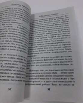 Александр Тамоников: Рейд ценою в жизнь