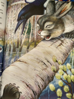 Николай Сладков: Сказки лесной опушки