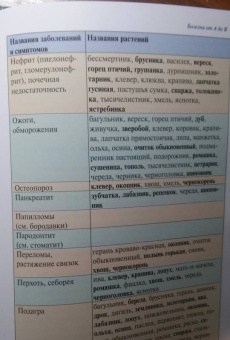 Александр Ефремов: Дикорастущие лекарственные растения средней полосы России:  карманный справочник