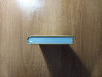 Ирвин Уэлш: Тупая езда