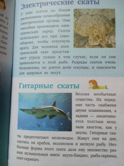 Дмитрий Кошевар: Жители морей и океанов