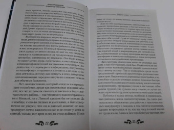 Широков, Шапочкин: Игнис. Осколки клана