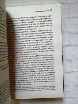 Тван Тан: Сад вечерних туманов