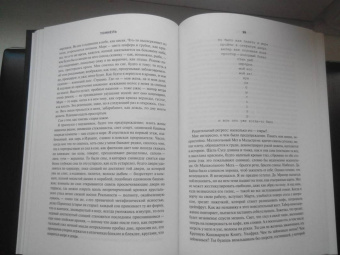 Уильям Гэсс: Тоннель