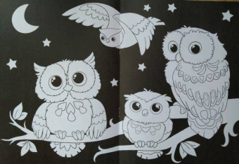 Раскраска ВОЛШЕБНЫЙ ЧЕРНЫЙ. ЦВЕТЫ И УЗОРЫ (Р-5489)