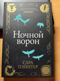 Сара Пэйнтер: Ночной ворон