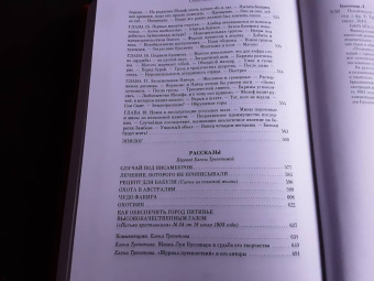 Луи Буссенар: Похитители бриллиантов