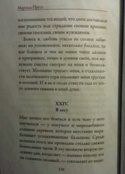 Марсель Пруст: Утехи и дни