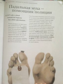 Барт Россел: Поразительные насекомые. Книга про подземных математиков, мастеров блефа, дружных кочевников, зомби