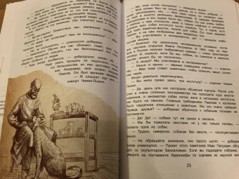 Юлия Иванова: Чижик-Пыжик и побег из Летнего сада