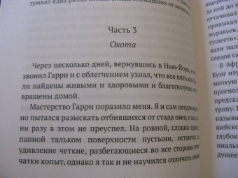 Роберт Мур: Следы и тропы. Путешествие по дорогам жизни