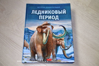 Ilona Bagoly: Ледниковый период