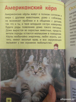 Смирнов, Хомич: Кошки и котята