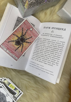 Ким Кранс: The Wild Unknown Animal Spirit. Дикое Неизвестное тотемное животное. Колода-оракул (63 карты и рук.)