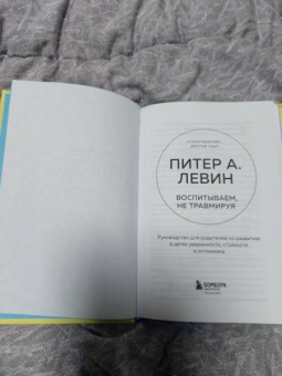 Левин, Клайн: Воспитываем, не травмируя. Руководство для родителей по развитию в детях уверенности, стойкости