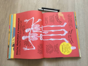 Бедуайер, Маккэн, Додс: Моя большая книга обо всём на свете